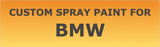 Custom Automotive Paint For BMW (Spray Can)